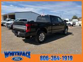 Thumbnail of 2022 Agate Black Metallic Ford F-250