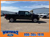 Thumbnail of 2022 Agate Black Metallic Ford F-250