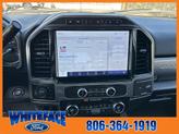 Thumbnail of 2022 Agate Black Metallic Ford F-250