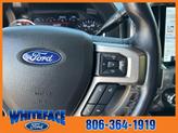 Thumbnail of 2022 Agate Black Metallic Ford F-250