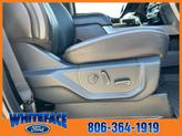 Thumbnail of 2022 Agate Black Metallic Ford F-250