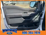 Thumbnail of 2025 Oxford White Ford F-150