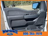 Thumbnail of 2025 Oxford White Ford F-150