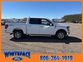 Thumbnail of 2025 Oxford White Ford F-150