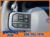 Thumbnail of 2025 Oxford White Ford F-150