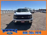 Thumbnail of 2025 Oxford White Ford F-150