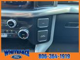 Thumbnail of 2024 Iconic Silver Metallic Ford F-150
