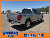 Thumbnail of 2025 Silver Metallic Ford F-150