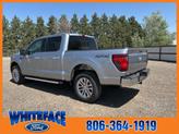 Thumbnail of 2025 Silver Metallic Ford F-150