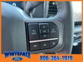 Thumbnail of 2025 Silver Metallic Ford F-150