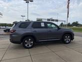 Thumbnail of 2025 Gray Honda Pilot
