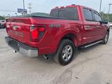 Thumbnail of 2024 Rapid Red Metallic Tinted Clearcoat Ford F-150