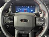 Thumbnail of 2024 Blue Metallic Ford F-150