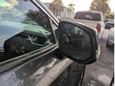 Thumbnail of 2024 Magnetic Gray Metallic Toyota RAV4
