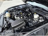 Thumbnail of 2021 Shadow Black Ford Mustang