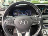 Thumbnail of 2022 Rainforest Hyundai PALISADE