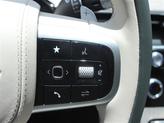Thumbnail of 2025 Vik Black Genesis GV80
