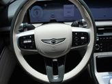 Thumbnail of 2025 Vik Black Genesis GV80