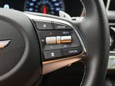 Thumbnail of 2021 Himalayan Gray Genesis G70