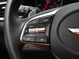 Thumbnail of 2021 Himalayan Gray Genesis G70