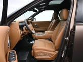 Thumbnail of 2026 Brass Hyundai PALISADE