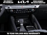 Thumbnail of 2025 Panthera Metal Kia Telluride