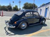 Thumbnail of 1965 Black Volkswagen Beetle (Pre-1980)