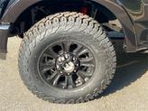 Thumbnail of 2021 Agate Black Metallic Ford F-250