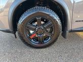 Thumbnail of 2026 Baja Storm Nissan Rogue