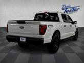 Thumbnail of 2025 Oxford White Ford F-150