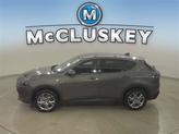 Thumbnail of 2024 Gray Cray Dodge Hornet