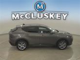 Thumbnail of 2024 Gray Cray Dodge Hornet