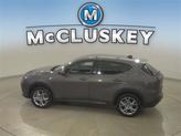 Thumbnail of 2024 Gray Cray Dodge Hornet
