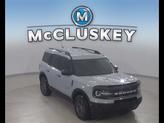 Thumbnail of 2023 CACTUS GRAY Ford Bronco Sport