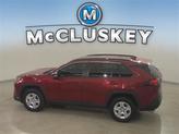 Thumbnail of 2019 Ruby Flare Pearl Toyota RAV4