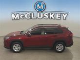 Thumbnail of 2019 Ruby Flare Pearl Toyota RAV4