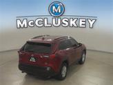 Thumbnail of 2019 Ruby Flare Pearl Toyota RAV4
