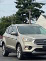 Thumbnail of 2017 White Gold Ford Escape