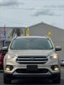 Thumbnail of 2017 White Gold Ford Escape