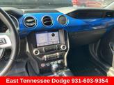 Thumbnail of 2019 Blue Ford Mustang