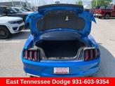 Thumbnail of 2019 Blue Ford Mustang