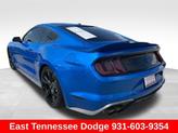 Thumbnail of 2019 Blue Ford Mustang