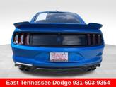 Thumbnail of 2019 Blue Ford Mustang