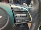 Thumbnail of 2019 Victoria Black Genesis G70