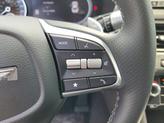 Thumbnail of 2026 Vik Black Genesis G70
