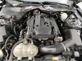 Thumbnail of 2017 Gray Ford Mustang
