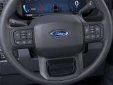Thumbnail of 2025 Avalanche Ford F-250