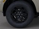 Thumbnail of 2025 Desert Sand Ford Ranger