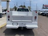 Thumbnail of 2025 Oxford White Ford F-250