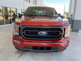 Thumbnail of 2023 Hot Pepper Red Metallic Tinted Clearcoat Ford F-150